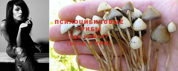 кокс Алексин