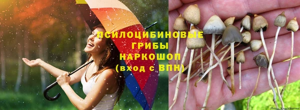 кокс Алексин