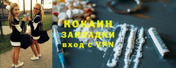 кокс Алексин
