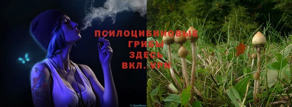 герыч Протвино